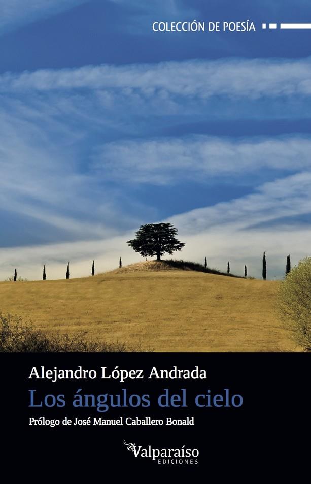 LOS ÁNGULOS DEL CIELO | 9788494268571 | LÓPEZ ANDRADA, ALEJANDRO | Galatea Llibres | Librería online de Reus, Tarragona | Comprar libros en catalán y castellano online