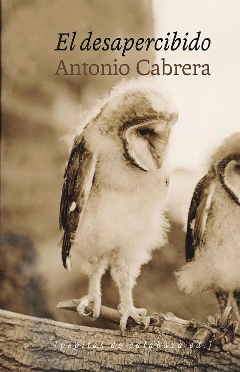 EL DESAPERCIBIDO | 9788415862611 | CABRERA, ANTONIO | Galatea Llibres | Llibreria online de Reus, Tarragona | Comprar llibres en català i castellà online