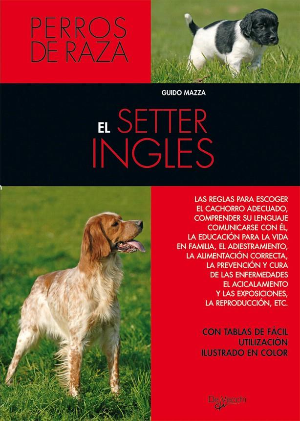 SETTER INGLES, EL | 9788431515324 | MAZZA, GUIDO | Galatea Llibres | Librería online de Reus, Tarragona | Comprar libros en catalán y castellano online