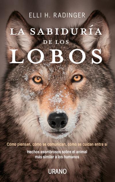 LA SABIDURÍA DE LOS LOBOS | 9788416720262 | RADINGER, ELLI H. | Galatea Llibres | Llibreria online de Reus, Tarragona | Comprar llibres en català i castellà online