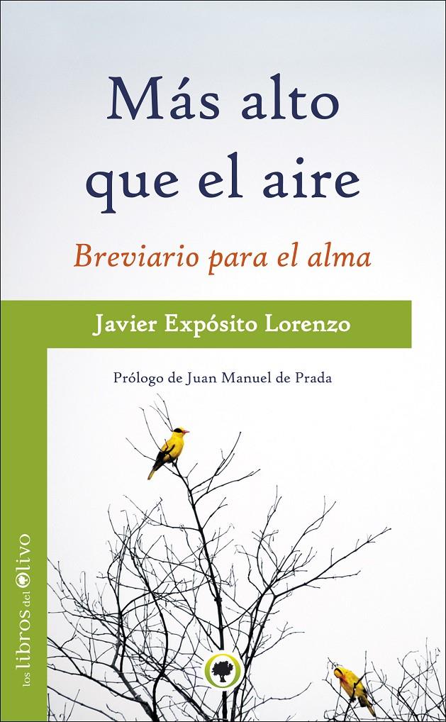 MAS ALTO QUE EL AIRE | 9788494170423 | EXPOSITO LORENZO, JAVIER | Galatea Llibres | Llibreria online de Reus, Tarragona | Comprar llibres en català i castellà online