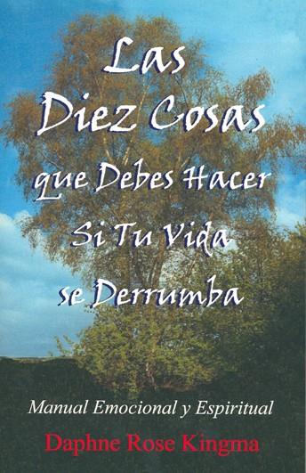 LAS DIEZ COSAS QUE DEBES HACER SI TU VIDA SE DERRUMBA | 9788495593702 | ROSE KINGMA,DAPHNE | Galatea Llibres | Llibreria online de Reus, Tarragona | Comprar llibres en català i castellà online