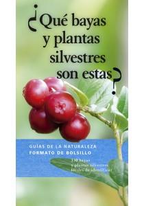 QUÉ BAYAS Y PLANTAS SILVESTRES SON ESTAS? | 9788428217309 | DREYER, EVA MARIA | Galatea Llibres | Llibreria online de Reus, Tarragona | Comprar llibres en català i castellà online