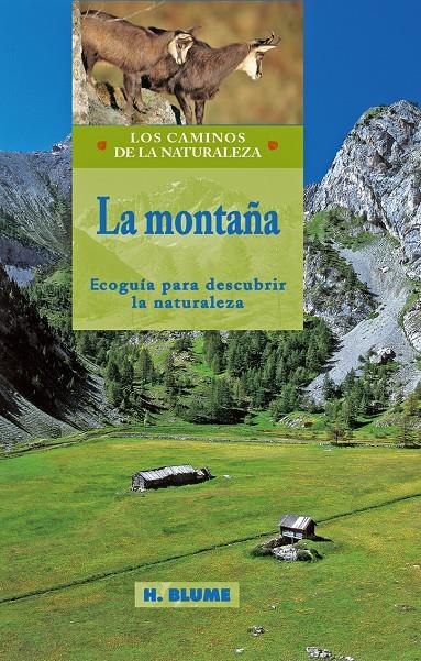 MONTAÑA, LA | 9788489840324 | AAVV | Galatea Llibres | Llibreria online de Reus, Tarragona | Comprar llibres en català i castellà online