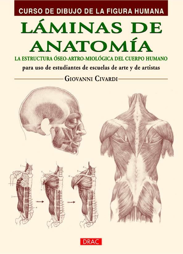 LÁMINAS DE ANATOMÍA | 9788498744798 | CIVARDI, GIOVANNI | Galatea Llibres | Llibreria online de Reus, Tarragona | Comprar llibres en català i castellà online