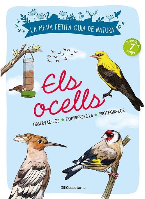 ELS OCELLS | 9788413560359 | LUCHESI, MICHEL | Galatea Llibres | Llibreria online de Reus, Tarragona | Comprar llibres en català i castellà online