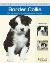 BORDER COLLIE | 9788425519475 | O'SULLIVAN, CATERINA | Galatea Llibres | Llibreria online de Reus, Tarragona | Comprar llibres en català i castellà online