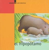 HIPOPOTAMO | 9788424617349 | DURAN, TERESA | Galatea Llibres | Llibreria online de Reus, Tarragona | Comprar llibres en català i castellà online