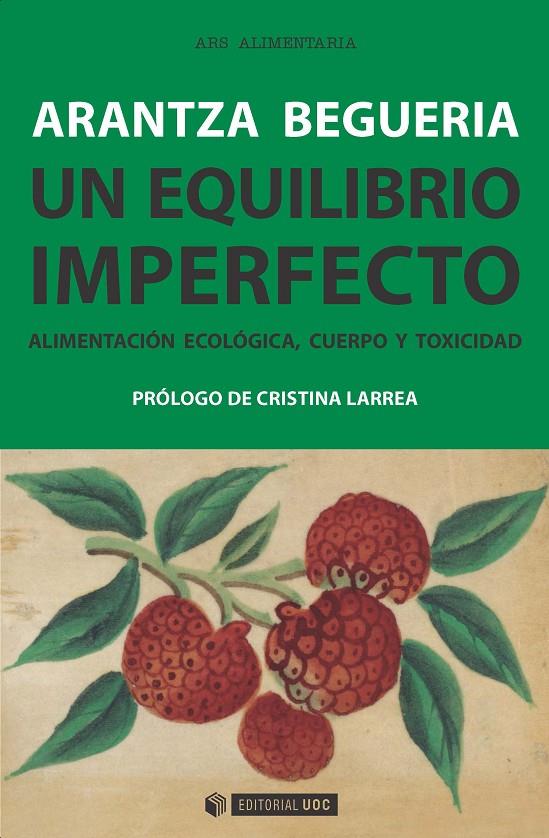 UN EQUILIBRIO IMPERFECTO | 9788491163015 | ARANTZA BEGUERIA | Galatea Llibres | Llibreria online de Reus, Tarragona | Comprar llibres en català i castellà online