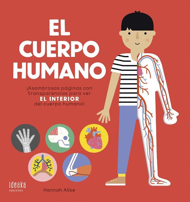 EL CUERPO HUMANO | 9788414022092 | NOSY CROW | Galatea Llibres | Llibreria online de Reus, Tarragona | Comprar llibres en català i castellà online