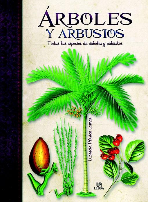 ARBOLES Y ARBUSTOS | 9788466224536 | PERISCO, LUCRECIA | Galatea Llibres | Librería online de Reus, Tarragona | Comprar libros en catalán y castellano online