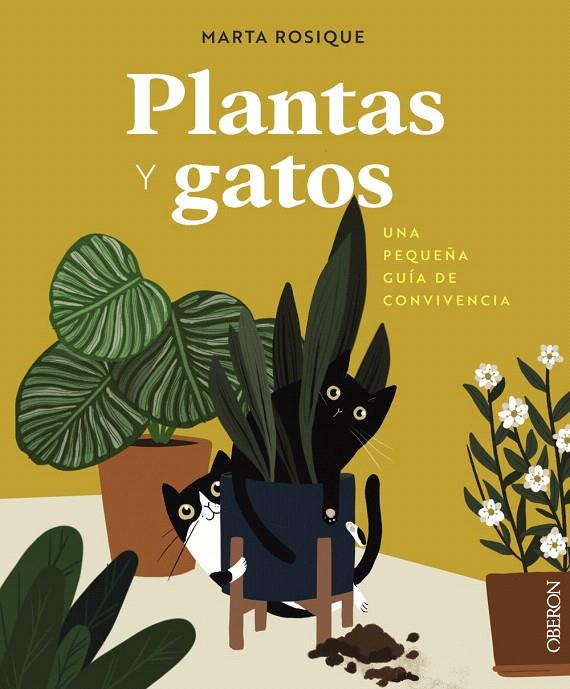 PLANTAS Y GATOS | 9788441550605 | ROSIQUE, MARTA | Galatea Llibres | Llibreria online de Reus, Tarragona | Comprar llibres en català i castellà online