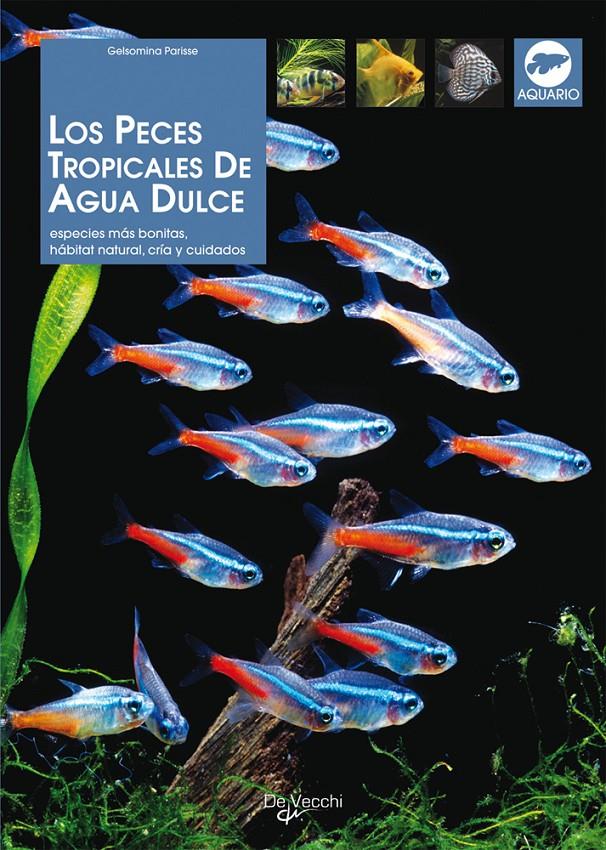 PECES TROPICALES DE AGUA DULCE, LOS | 9788431527990 | PARISSE, GELSOMINA | Galatea Llibres | Llibreria online de Reus, Tarragona | Comprar llibres en català i castellà online