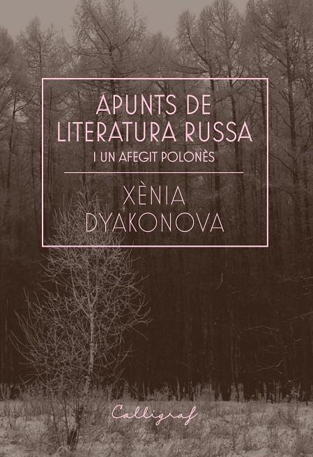 APUNTS DE LITERATURA RUSSA I UN AFEGIT POLONÈS | 9788412212358 | DYAKONOVA, XÈNIA | Galatea Llibres | Llibreria online de Reus, Tarragona | Comprar llibres en català i castellà online