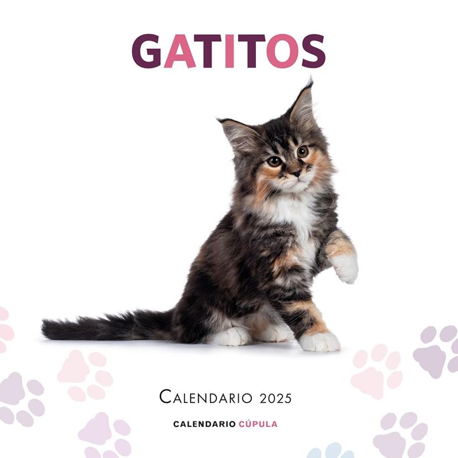 CALENDARIO GATITOS 2025 | 9788448041656 | Galatea Llibres | Llibreria online de Reus, Tarragona | Comprar llibres en català i castellà online