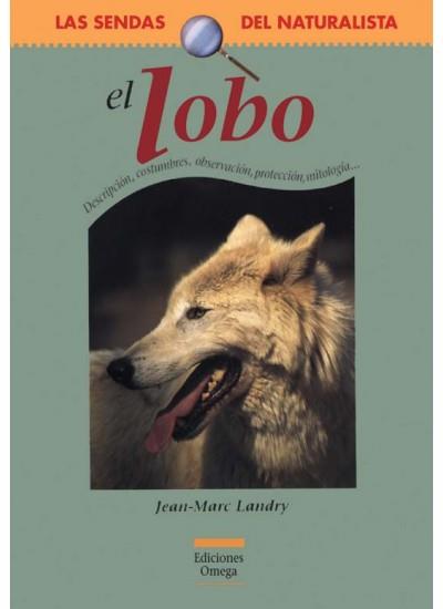 LOBO, EL | 9788428213240 | LANDRY, JEAN-MARC | Galatea Llibres | Librería online de Reus, Tarragona | Comprar libros en catalán y castellano online