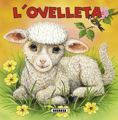 OVELLETA, L'. SUAUS | 9788467713879 | HADERLEIN, UTE/EISELE, MONIKA | Galatea Llibres | Llibreria online de Reus, Tarragona | Comprar llibres en català i castellà online