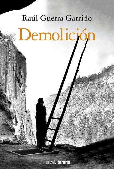 DEMOLICIÓN | 9788491813354 | GUERRA GARRIDO, RAÚL | Galatea Llibres | Llibreria online de Reus, Tarragona | Comprar llibres en català i castellà online