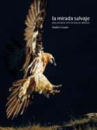 MIRADA SALVAJE, LA | 9788498012286 | CANELA, ANDONI | Galatea Llibres | Llibreria online de Reus, Tarragona | Comprar llibres en català i castellà online