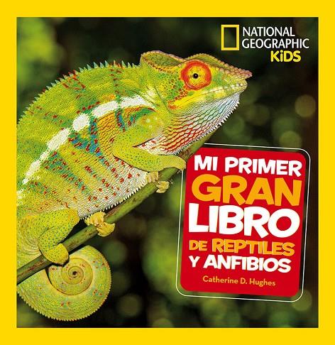 MI PRIMER GRAN LIBRO DE REPTILES Y ANFIBIOS | 9788482987958 | HUGHES, CATHERINE D. | Galatea Llibres | Llibreria online de Reus, Tarragona | Comprar llibres en català i castellà online