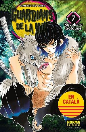 GUARDIANS DE LA NIT 7 | 9788467958539 | GOTOUGE, KOYOHARU | Galatea Llibres | Llibreria online de Reus, Tarragona | Comprar llibres en català i castellà online