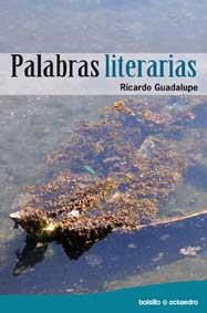 PALABRAS LITERARIAS | 9788499211299 | CASTILLO RAMOS, RICARDO MARTÍN | Galatea Llibres | Librería online de Reus, Tarragona | Comprar libros en catalán y castellano online