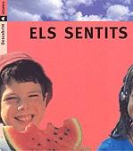 SENTITS,ELS | 9788424602727 | PORTELL RIFÀ, JOAN/ARÀNEGA, SUSANNA | Galatea Llibres | Librería online de Reus, Tarragona | Comprar libros en catalán y castellano online