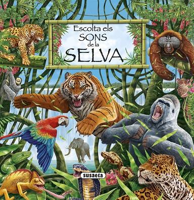 ESCOLTA ELS SONS DE LA SELVA | 9788411962360 | SUSAETA, EQUIP | Galatea Llibres | Llibreria online de Reus, Tarragona | Comprar llibres en català i castellà online