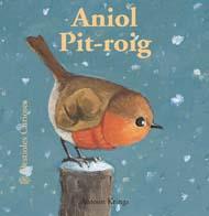 ANIOL PIT-ROIG (BESTIOLES CURIOSES) | 9788498012071 | KRINGS, ANTOON | Galatea Llibres | Llibreria online de Reus, Tarragona | Comprar llibres en català i castellà online