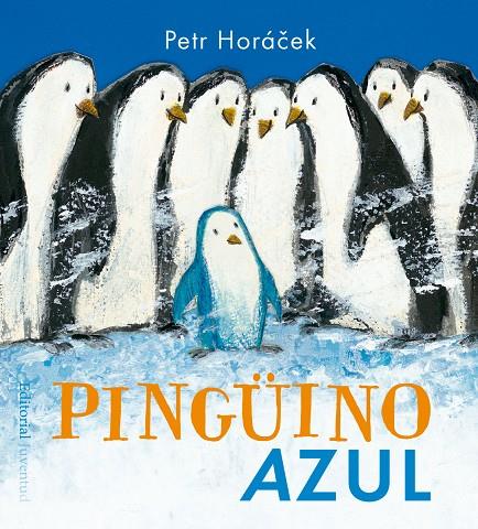 PINGüINO AZUL | 9788426142351 | HORáCEK, PETR | Galatea Llibres | Llibreria online de Reus, Tarragona | Comprar llibres en català i castellà online