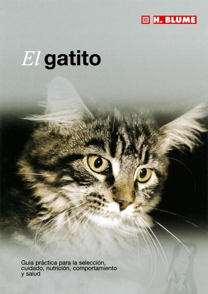 GATITO, EL | 9788489840843 | Galatea Llibres | Llibreria online de Reus, Tarragona | Comprar llibres en català i castellà online