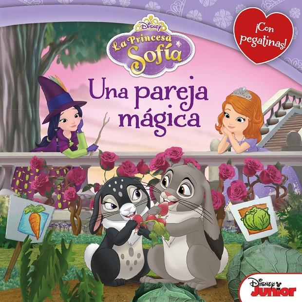 LA PRINCESA SOFÍA. UNA PAREJA MÁGICA | 9788499516561 | Galatea Llibres | Llibreria online de Reus, Tarragona | Comprar llibres en català i castellà online