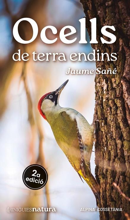 OCELLS DE TERRA ENDINS | 9788413563725 | SAÑÉ, JAUME | Galatea Llibres | Llibreria online de Reus, Tarragona | Comprar llibres en català i castellà online