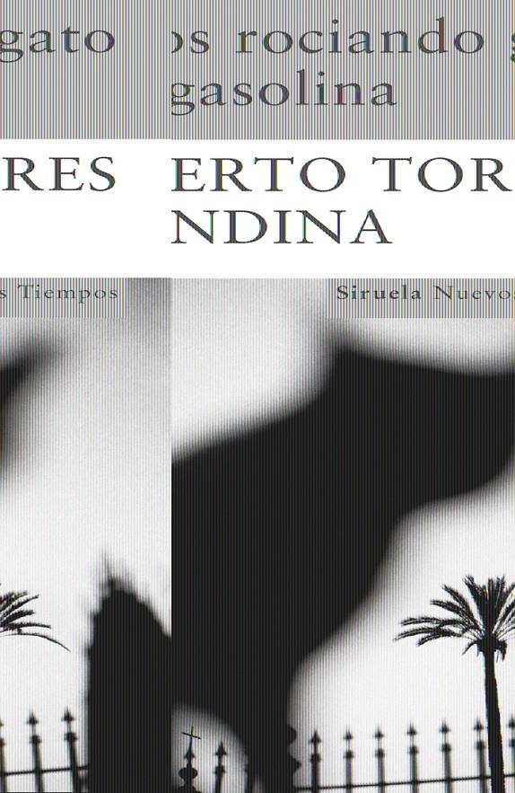 NIÑOS ROCIANDO GATO CON GASOLINA | 9788498412819 | TORRES, ALBERTO | Galatea Llibres | Llibreria online de Reus, Tarragona | Comprar llibres en català i castellà online