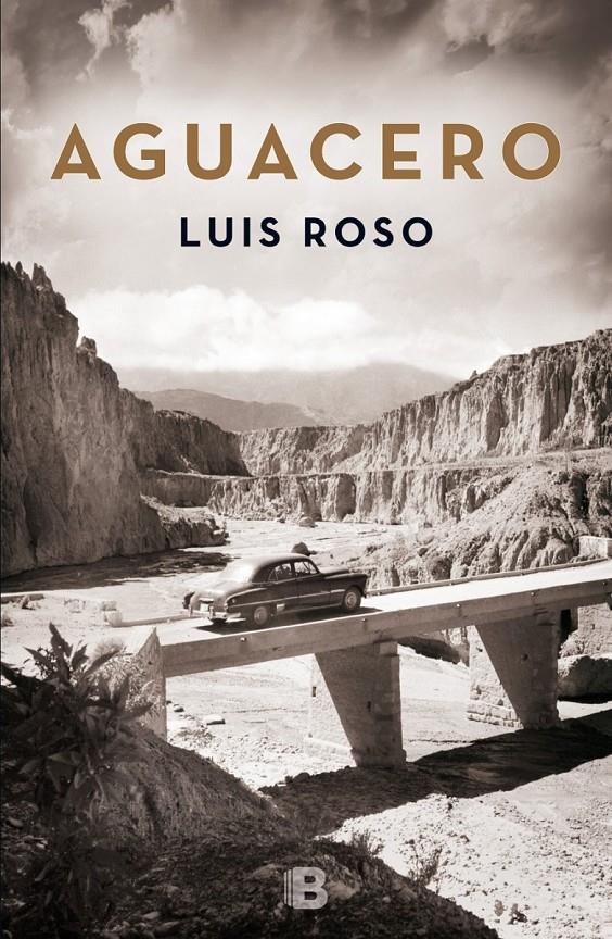 AGUACERO | 9788466659215 | ROSO, LUIS | Galatea Llibres | Llibreria online de Reus, Tarragona | Comprar llibres en català i castellà online