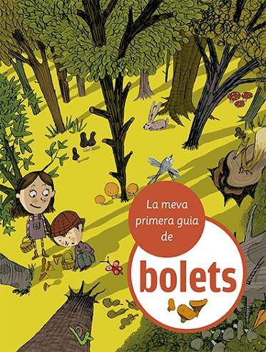 LA MEVA PRIMERA GUIA DE BOLETS | 9788424674366 | JULVE, ÒSCAR | Galatea Llibres | Llibreria online de Reus, Tarragona | Comprar llibres en català i castellà online