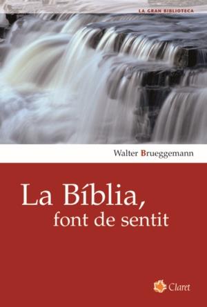 BIBLIA, FONT DE SENTIT | 9788498460728 | BRUEGGEMAN, WALTER | Galatea Llibres | Librería online de Reus, Tarragona | Comprar libros en catalán y castellano online