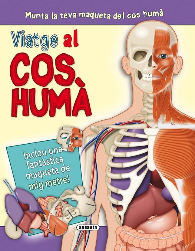 VIATGE AL COS HUMÀ | 9788467723212 | Galatea Llibres | Llibreria online de Reus, Tarragona | Comprar llibres en català i castellà online