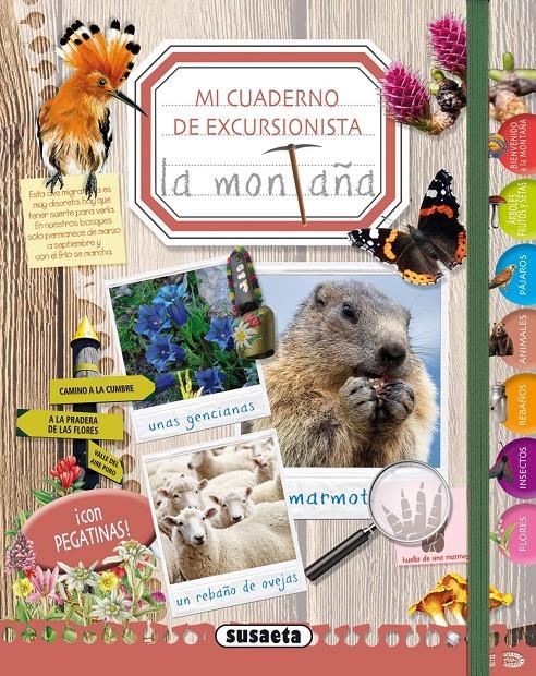 MI CUADERNO DE EXCURSIONISTA LA MONTAÑA | 9788467730043 | Galatea Llibres | Llibreria online de Reus, Tarragona | Comprar llibres en català i castellà online