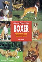 BOXER           (DIP) | 9788425511424 | RUTDLEGE, PATTI | Galatea Llibres | Librería online de Reus, Tarragona | Comprar libros en catalán y castellano online