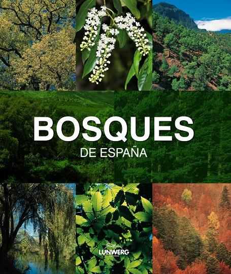 BOSQUES DE ESPAÑA. | 9788497857482 | JOAQUÍN ARAÚJO | Galatea Llibres | Llibreria online de Reus, Tarragona | Comprar llibres en català i castellà online