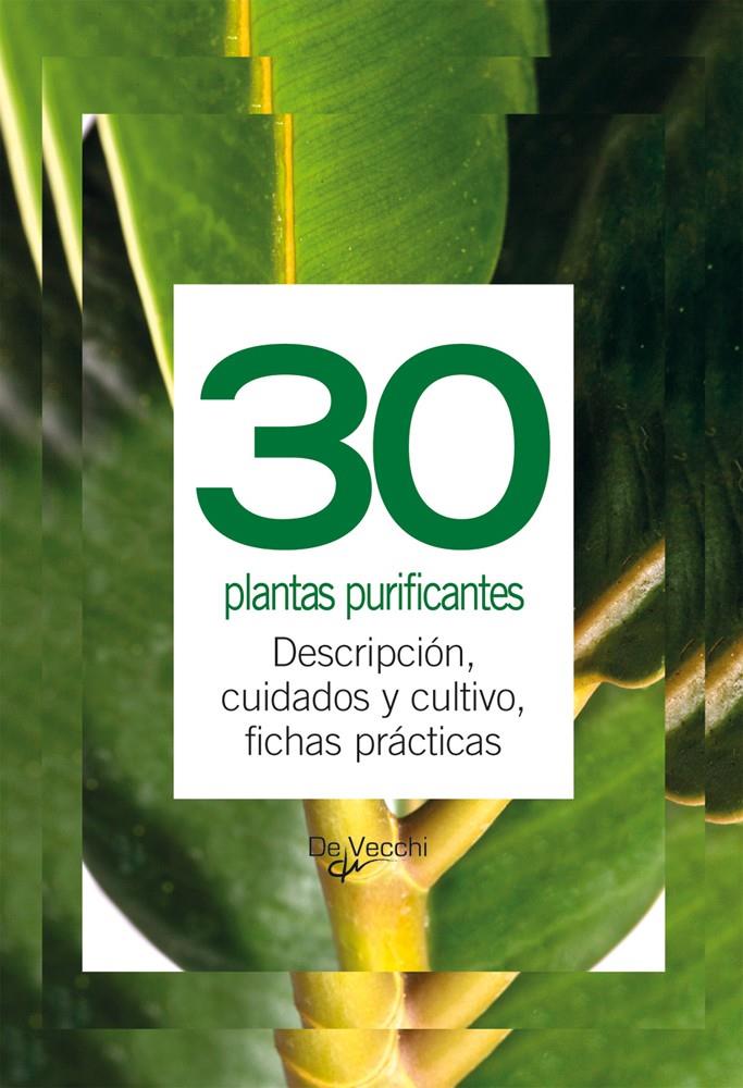 30 PLANTAS PURIFICANTES | 9788431541712 | AA.VV | Galatea Llibres | Llibreria online de Reus, Tarragona | Comprar llibres en català i castellà online