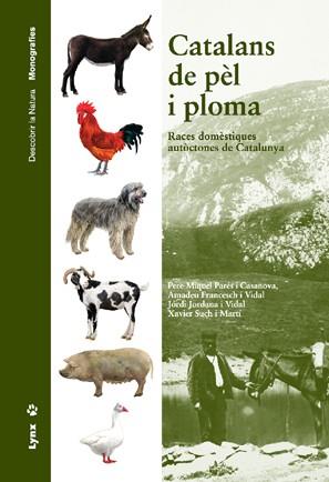 CATALANS DE PEL I PLOMA | 9788496553026 | PARéS CASANOVA, PERE MIQUEL/FRANCESCA VIDAL, AMADEU/JORDANA VIDAL, JORDI/SUCH MARTí, XAVIER | Galatea Llibres | Librería online de Reus, Tarragona | Comprar libros en catalán y castellano online