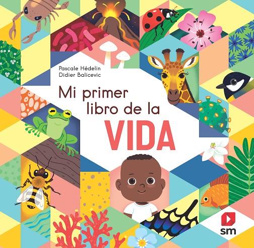 MI PRIMER LIBRO DE LA VIDA | 9788498569377 | HÉDELIN, PASCALE | Galatea Llibres | Llibreria online de Reus, Tarragona | Comprar llibres en català i castellà online