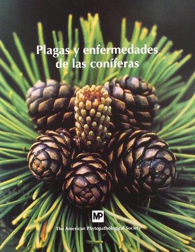 PLAGAS Y ENFERMEDADES DE LAS CONÍFERAS | 9788484760672 | HANSEN, E. LEWIS, K. | Galatea Llibres | Llibreria online de Reus, Tarragona | Comprar llibres en català i castellà online