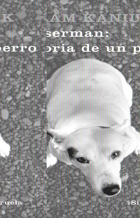 WASSERMAN: HISTORIA DE UN PERRO | 9788498411751 | KANIUK, YORAM | Galatea Llibres | Llibreria online de Reus, Tarragona | Comprar llibres en català i castellà online