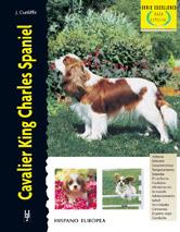 CAVALIER KING CHARLES SPANIEL | 9788425513268 | CUNLIFFE, JULIETTE | Galatea Llibres | Llibreria online de Reus, Tarragona | Comprar llibres en català i castellà online