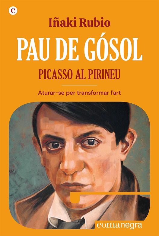 PAU DE GÓSOL. PICASSO AL PIRINEU | 9788419590404 | RUBIO, IÑAKI | Galatea Llibres | Librería online de Reus, Tarragona | Comprar libros en catalán y castellano online