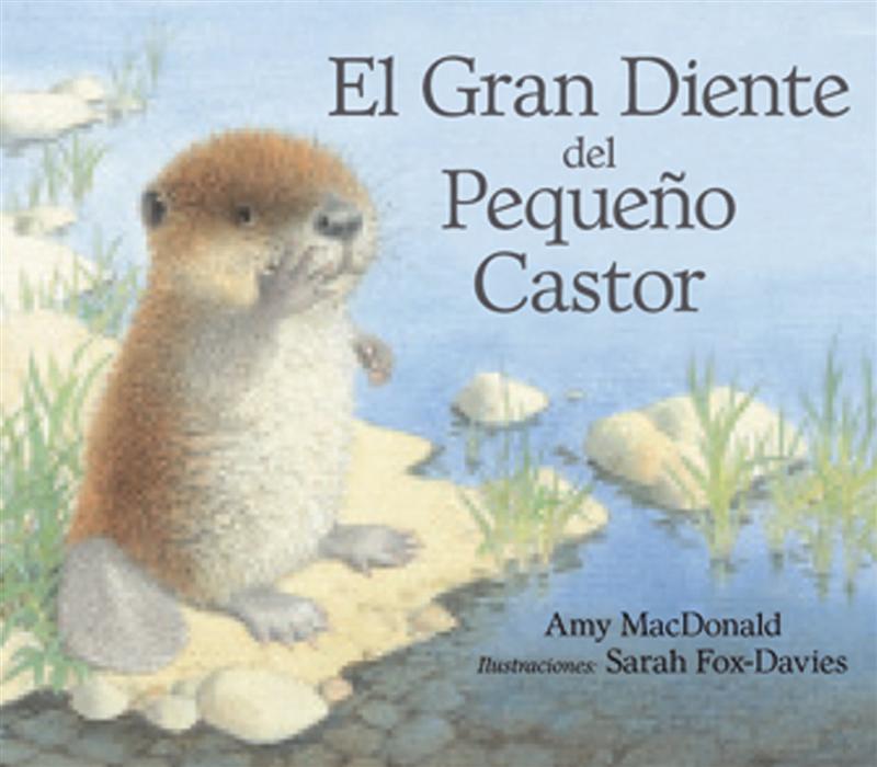 EL GRAN DIENTE DEL PEQUEÑO CASTOR | 9788493933951 | MC DONALD, AMI/FOX DAVIES,SARAH | Galatea Llibres | Llibreria online de Reus, Tarragona | Comprar llibres en català i castellà online