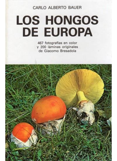 HONGOS DE EUROPA, LOS (DIP) | 9788428206662 | BAUER, CARLO ALBERTO | Galatea Llibres | Llibreria online de Reus, Tarragona | Comprar llibres en català i castellà online